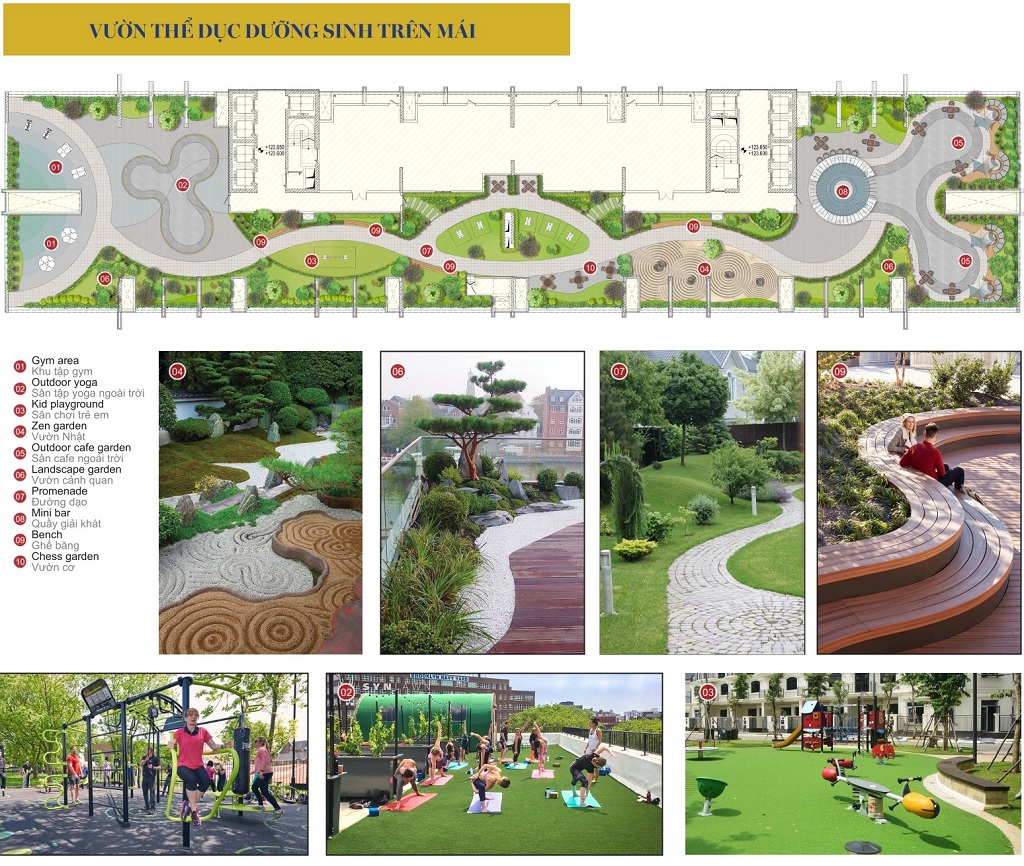 viha leciva tầng sân vườn